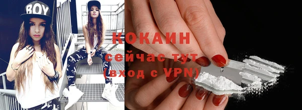 шишки Волоколамск