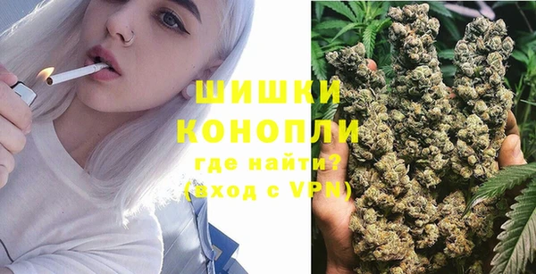 шишки Волоколамск