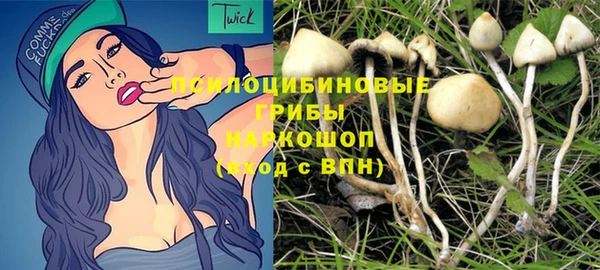 шишки Волоколамск