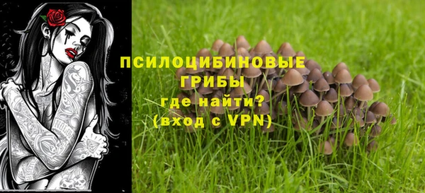 дурь Волосово