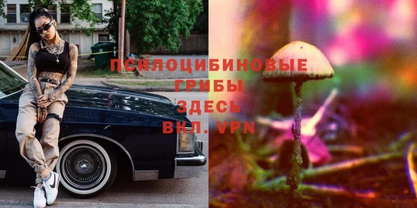 шишки Волоколамск